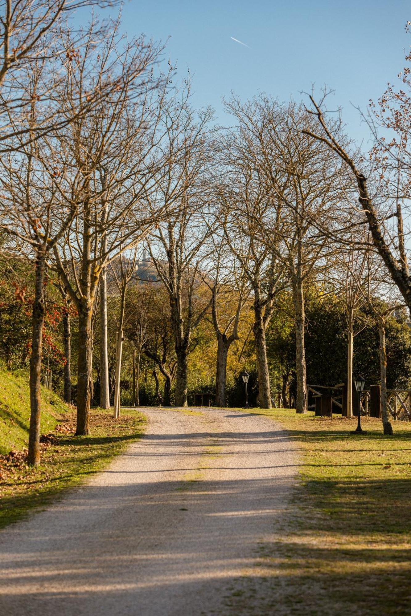Agriturismo Le Cerque Collazzone Екстер'єр фото
