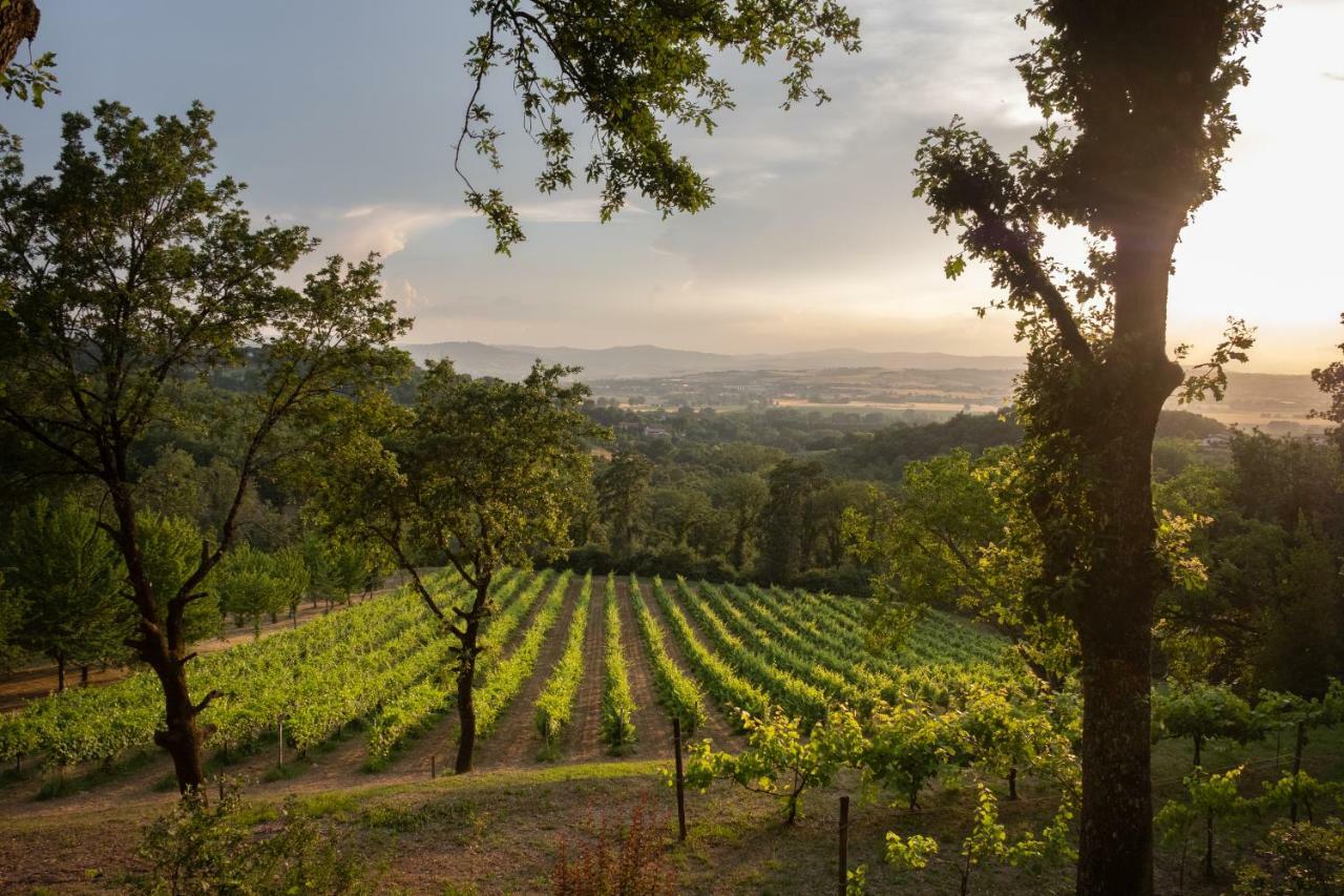 Agriturismo Le Cerque Collazzone Екстер'єр фото