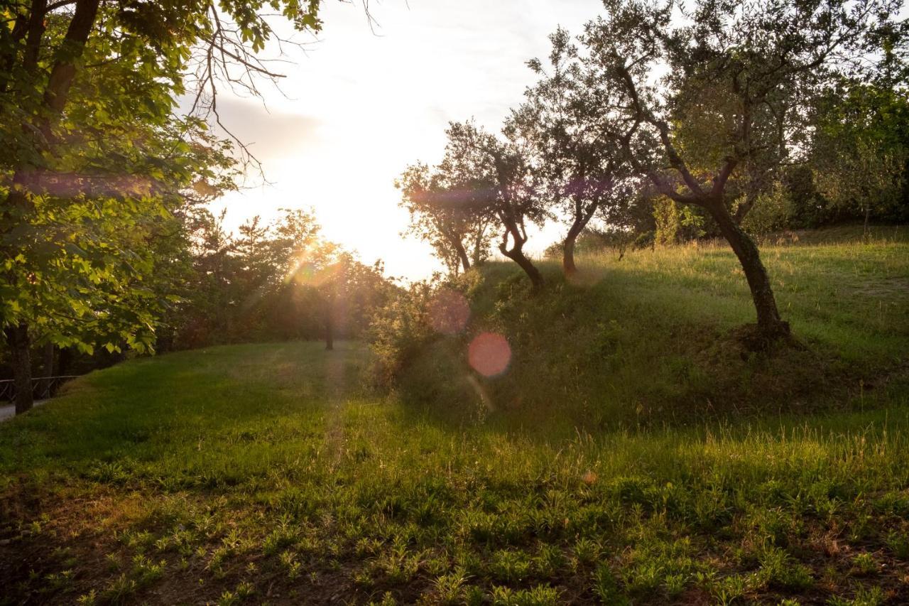 Agriturismo Le Cerque Collazzone Екстер'єр фото
